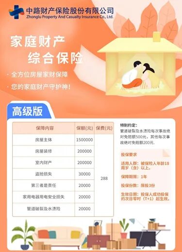 高级版
